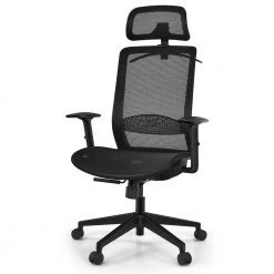 Mesh Headrest Armrest Seat Height Adjustable Reclining Ergonomic Office Chair Task Chair with Lumbar Support in Black by ANGELES HOME
